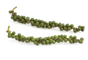 Fresh Green Peppercorn, piper nigrum against White Background