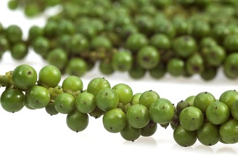 Fresh Green Peppercorn, piper nigrum against White Background