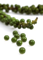 Fresh Green Peppercorn, piper nigrum against White Background