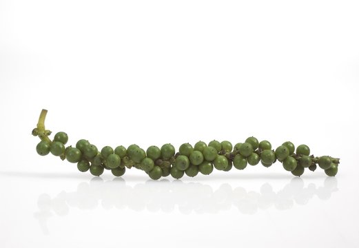 Fresh Green Peppercorn, piper nigrum against White Background
