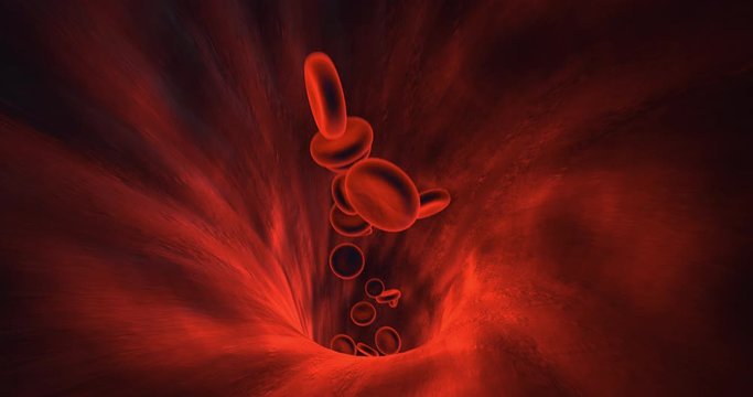 Red Blood Cells Flowing Inside Humen Vein. Perfect Loop. Science And Health Related High Quality 3D Animation.