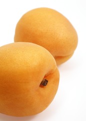 Apricot, prunus armeniaca, Fruits against White Background