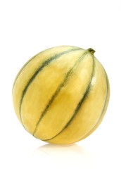Cavaillon Melon, cucumis melo, Fruit on White Background