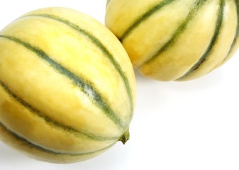 Cavaillon Melon, cucumis melo, Fruits on White Background