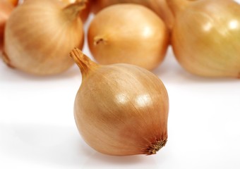 French Onions Called Grelot, allium cepa against White Background