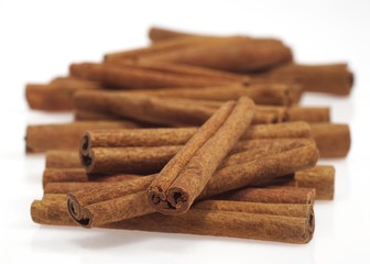 Cinnamon, cinnamomum zeylanicum, Bark against White Background