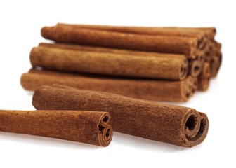 Cinnamon, cinnamomum zeylanicum, Bark against White Background