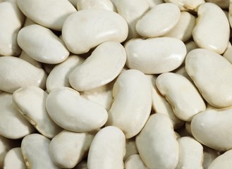 French Soissons Beans, phaseolus vulgaris