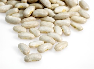 French White Kidney Beans or Mogette From Vendee, phaseolus vulgaris