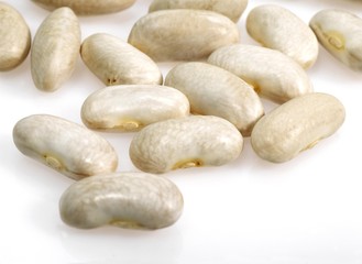 Obraz premium French White Kidney Beans or Mogette From Vendee, phaseolus vulgaris