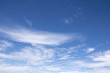 Naklejka na ściany i meble Clear blue sky with white clouds