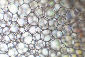 Fototapeta premium Bubbles 