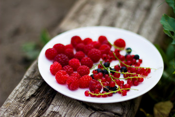 
Ripe raspberries and currants in a white plate. Healthy snack. Summer healthy food concept. Healthy organic sweet fruits. Harvesting. 