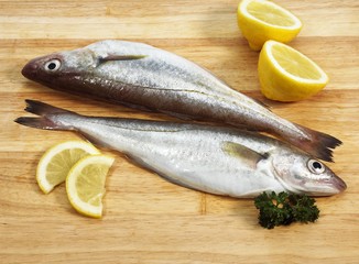 Whiting with Lemon, merlangius merlangus, Fresh Fishes