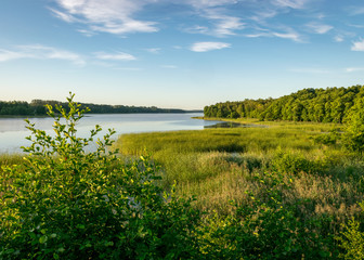 summer landscape by the lake, calm water, summer morning