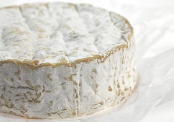 Camembert, French Cheese produced in Normandy from Cow's Milk