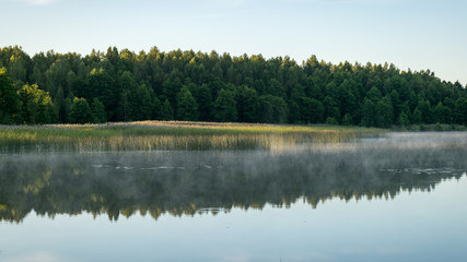 Fototapeta na wymiar morning landscape with fog on the lake, summer