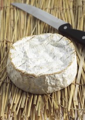 Camembert, French Cheese produced in Normandy from Cow's Milk