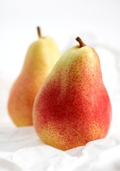 Rosemary Pear, pyrus communis