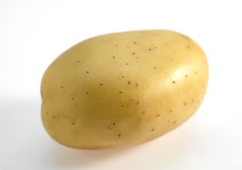 Mona Lisa Potato, solanum tuberosum, Vegetable against White Background