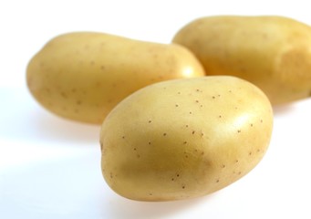 Mona Lisa Potato, solanum tuberosum, Vegetables against White Background