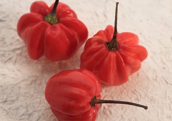 Martinique Hot Pepper, capsicum annuum