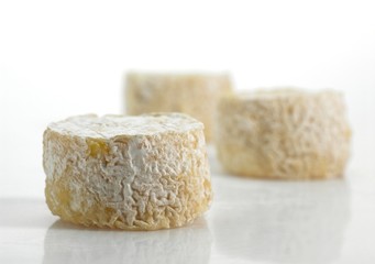 French Goat Cheese called Crottin