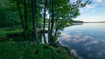 cloud reflections in clear and calm lake water, tree silhouettes in the foreground, summer morning
