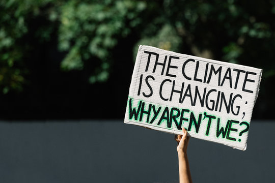 Global climate strike protest sign