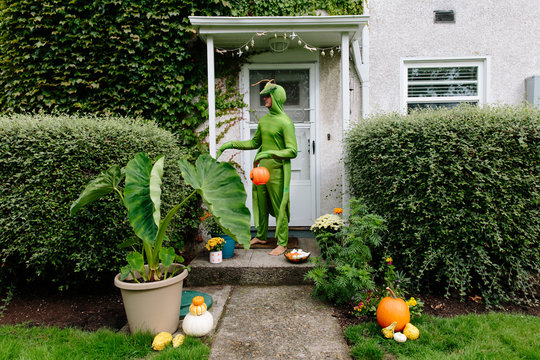 Trick or Treat Praying Mantis