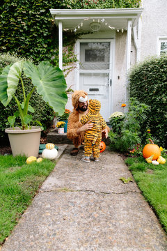 Trick or Treat