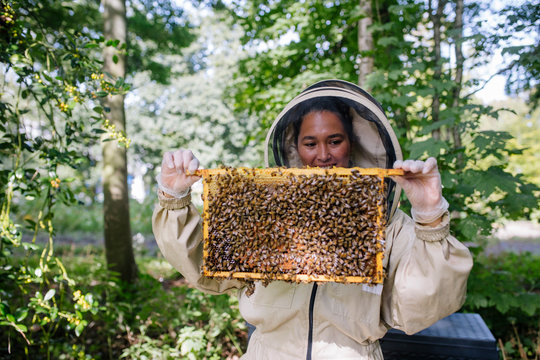 Female beekeeper checking her bee hive for bees and honey.