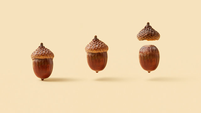 Flying acorns with soft shadows.