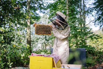 Female beekeeper checking her bee hive for bees and honey.