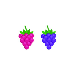 This is a berry. Vector raspberry and blackberry isolated on white background.