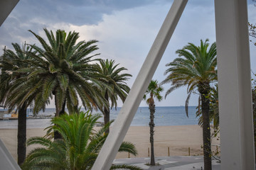Palm trees on the beach of Barcelona