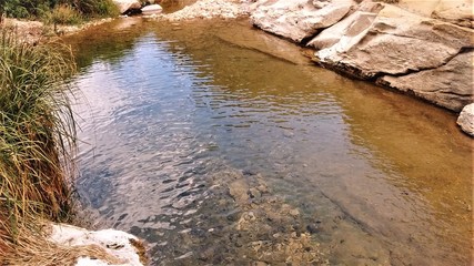 river flowing to pond
