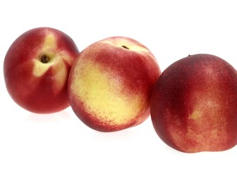 Peachs, persica vulgaris against White Background