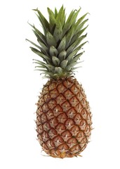 Pineapple, ananas comosus, Fruit against White Background