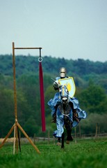 Tournament of Chivalry in France