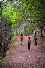 Fototapeta premium camino de la ermita de Maristella, Fita del Ram, Esporles, Paraje natural de la Serra de Tramuntana, Mallorca, balearic islands, Spain