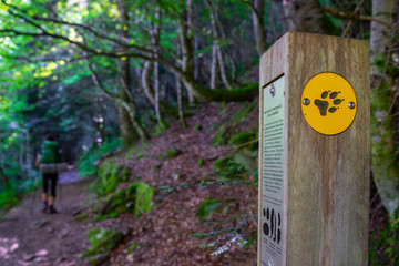 sendero de las gargantas de Clarabide, cordillera de los Pirineos, France
