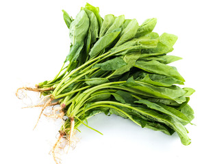 Organic spinach isolated on white background