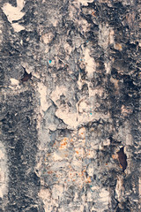 Creative metal background. Old metal background with scraps of paper ads. Flat background texture of dirty metal. As the main background for vintage design