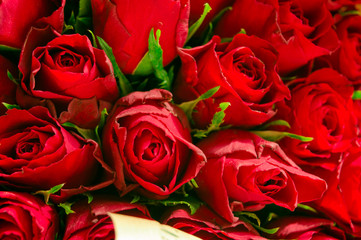 Beautiful bouquet of red roses