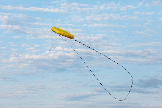Kite in the blue sky