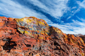 Petrified wood, Petrified Forest National Park, Arizona, USA, America