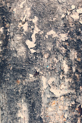 Creative metal background. Old metal background with scraps of paper ads. Flat background texture of dirty metal. As the main background for vintage design