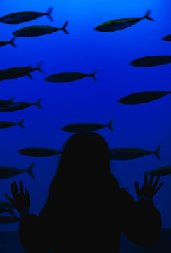 Silhouette of a Girl in an Aquarium
