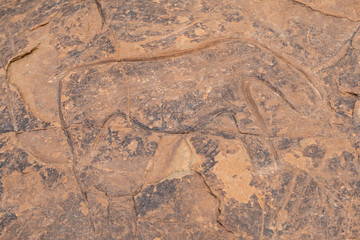 petroglifo de un rinoceronte, yacimiento rupestre de Aït Ouazik, finales del Neolítico, Marruecos, Africa
